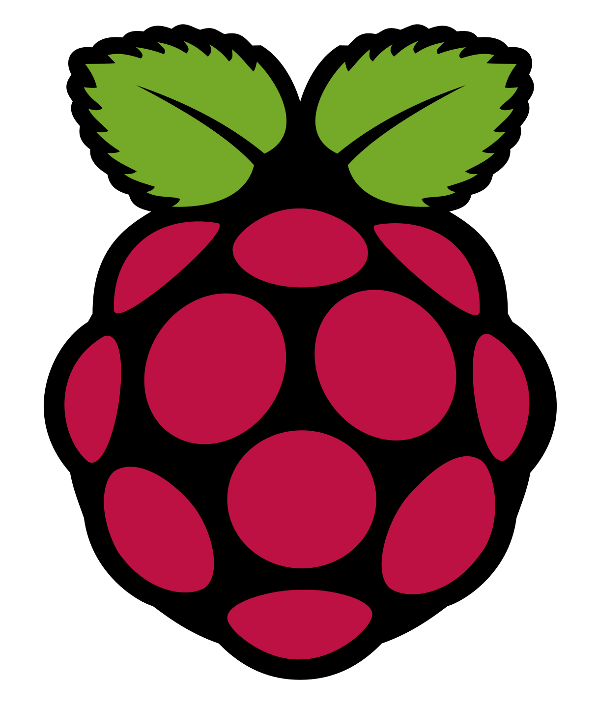 Raspberry Pi